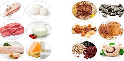 spise proteinprodukter til vægttab